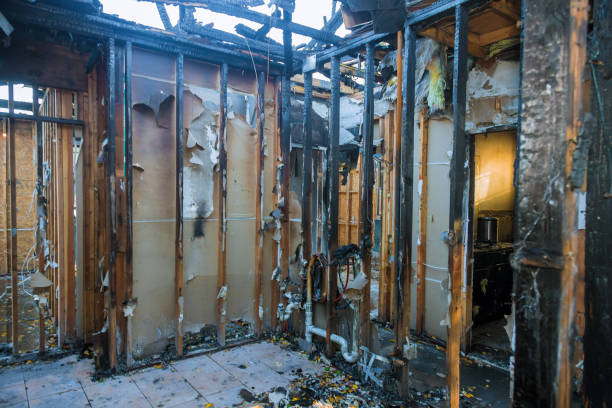 Professional Fire Damage Removal technician working in Mexia, TX